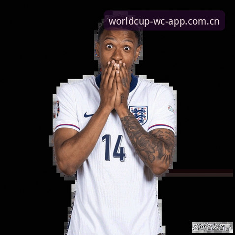 2026WC世界杯投注入口 2026WC世界杯投注入口的5大核心选择标准:专业玩家必看的平台评估指南